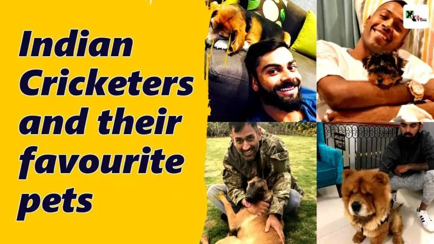 Top 10 Indian Cricketers And Their Pets - Crictv4u